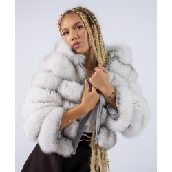 Haina Vulpe Polara 444