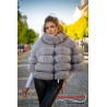 Jacheta Vulpe Polara Gray