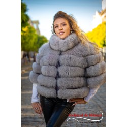 Jacheta Vulpe Polara Gray